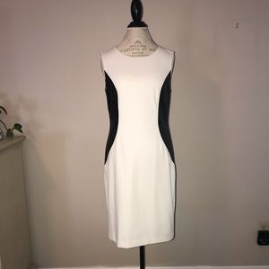 Calvin Klein White with Black Sheath Dress